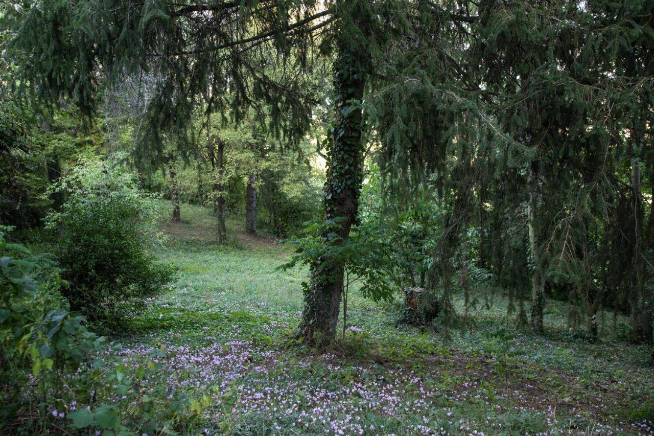 La Marcona Lägenhet Serramazzoni Exteriör bild